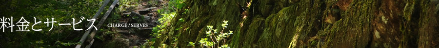 料金とサービス