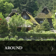 Sightseeing spots around Sakura Guest House