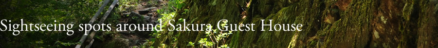 Sightseeing spots around Sakura Guest House